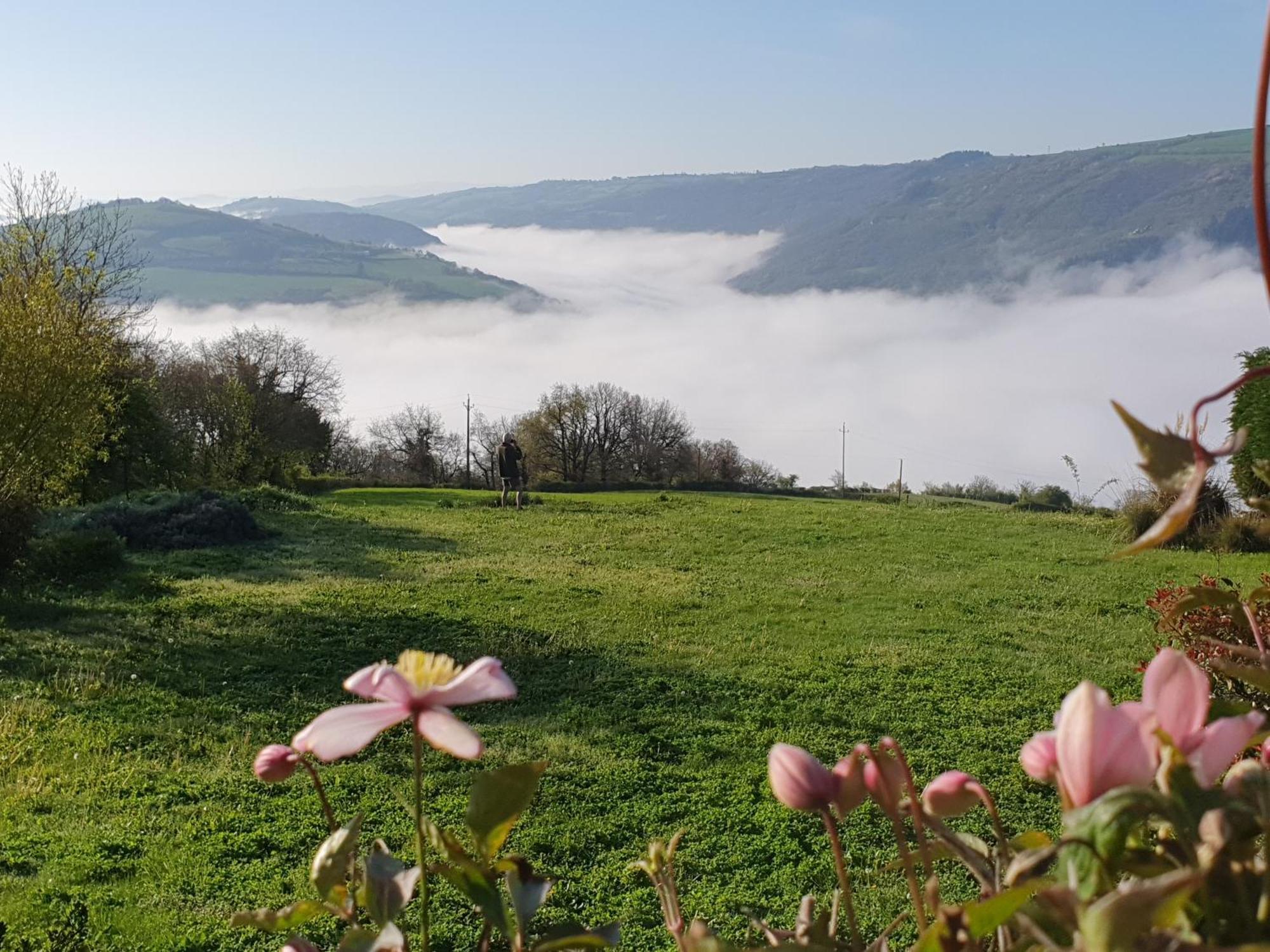 La Colline Du Chat Perche Vila Connac Exterior foto